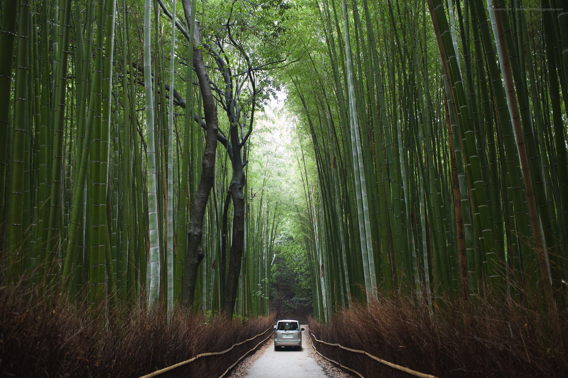 Arashiyama After Hours (Available in the Prints Store)